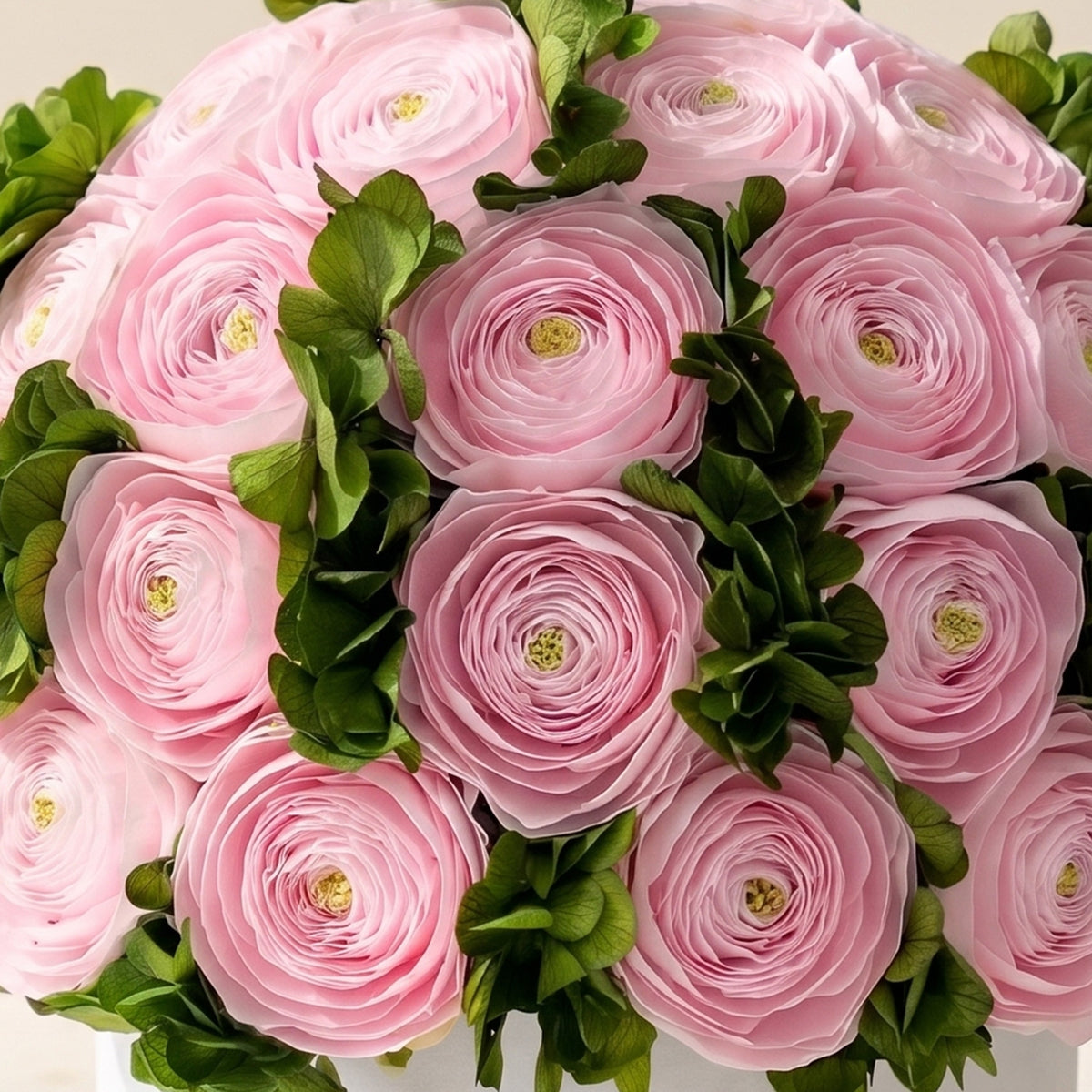 Classic White Box | Ranuncoli Persiani Rosa Chiaro & Ortensie Verdi