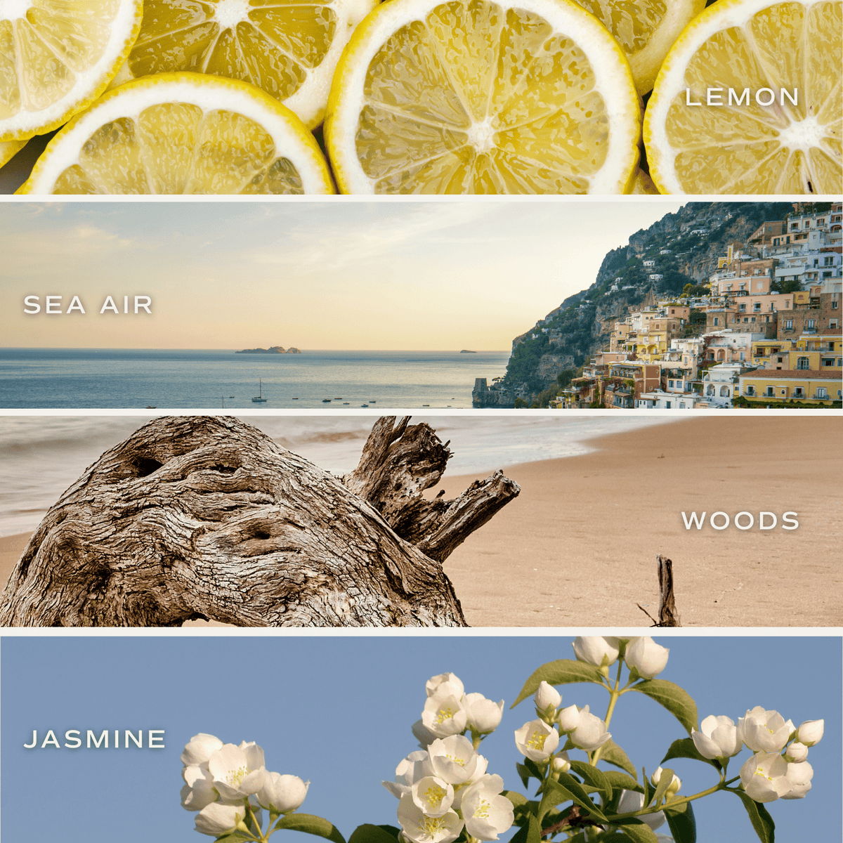 Bougie parfumée au soja Coastal Lemon - Pot blanc - 312 g