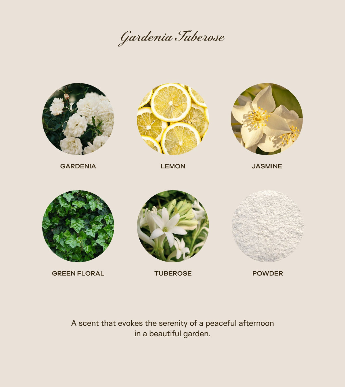 Trio Bundle All Scents