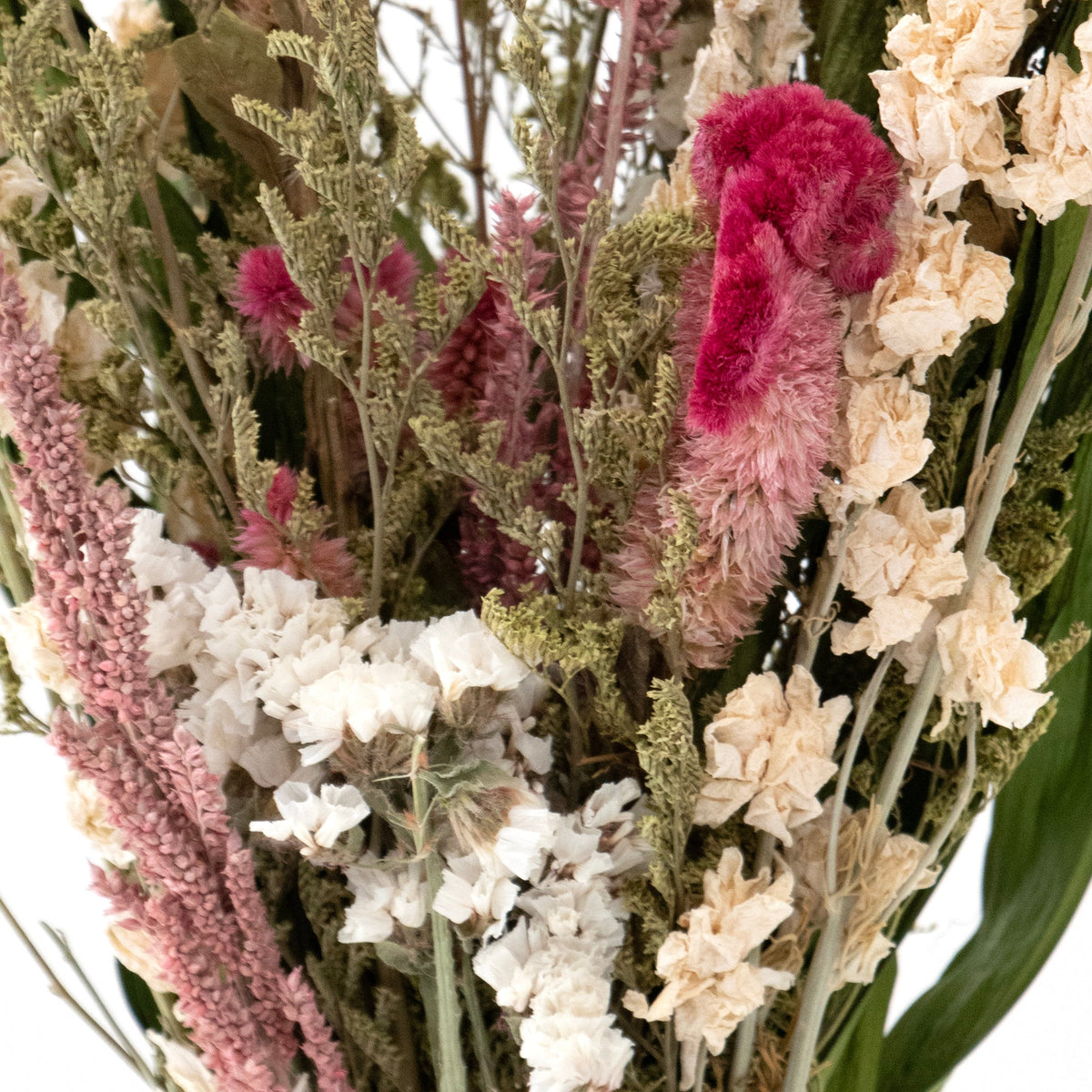 Bouquet de fleurs de célosie