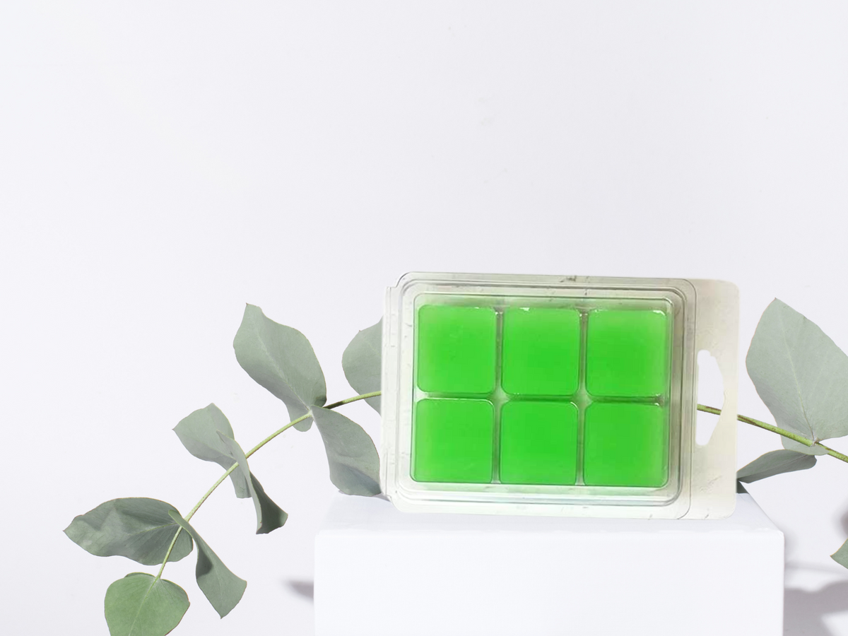 Wax Melt a conchiglia – Fragranze più vendute | Collezione Signature