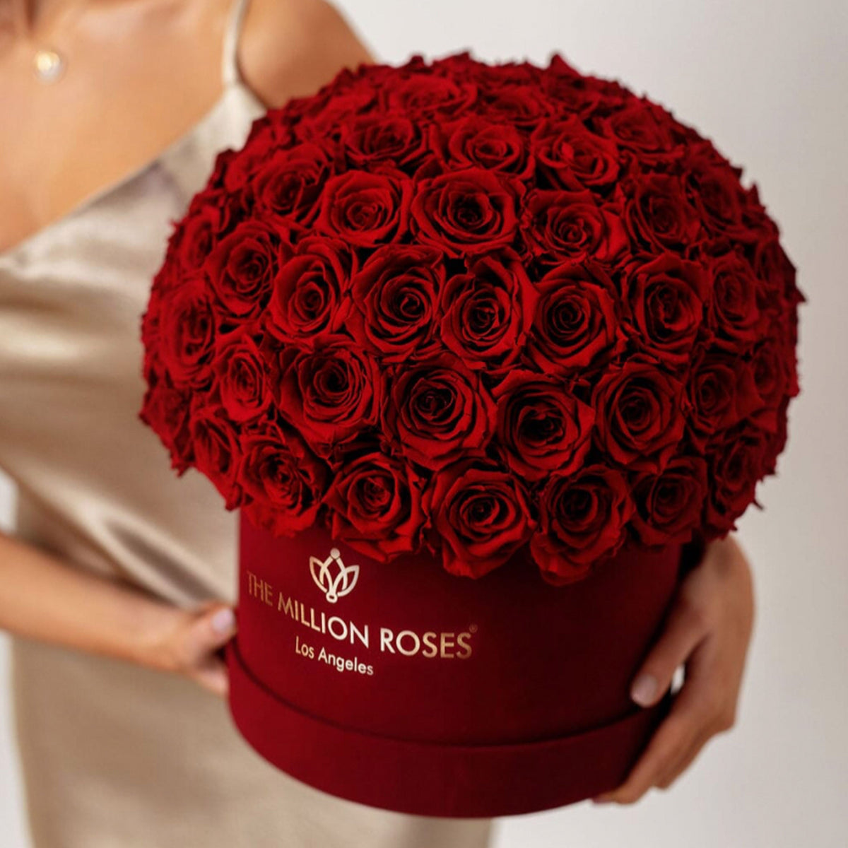 Boîte Superdome Supreme en daim bordeaux | Roses bourgogne
