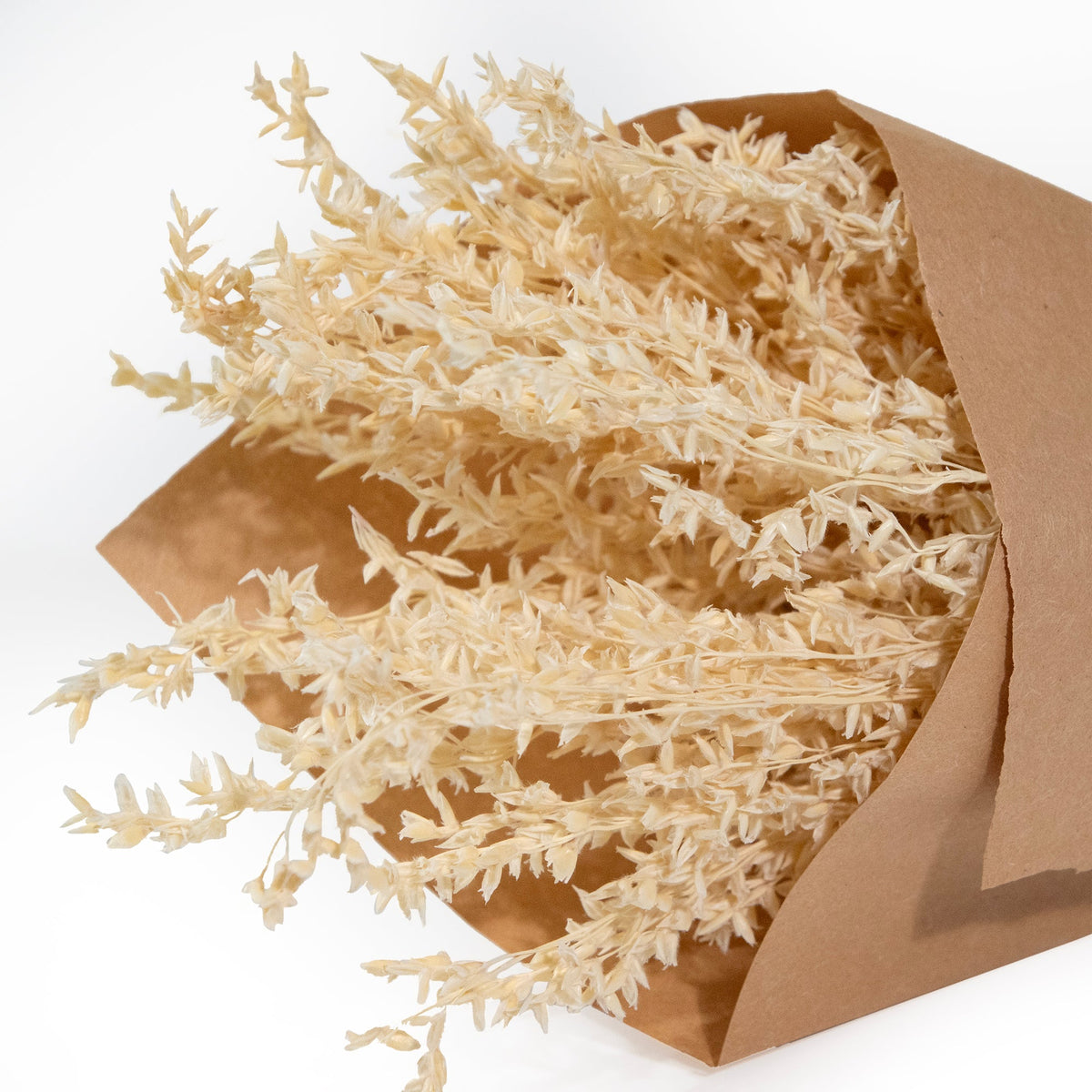 MINI Corn Broom Grass Bundle