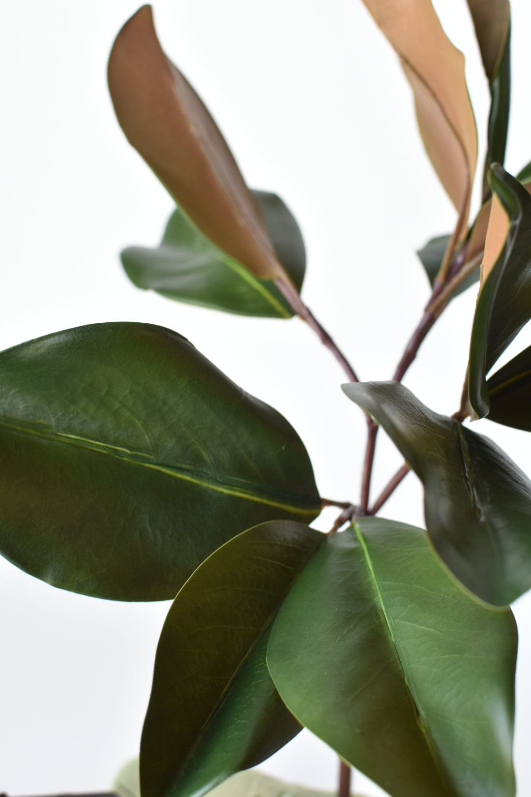 Stelo di foglie di magnolia artificiali da 16,5"