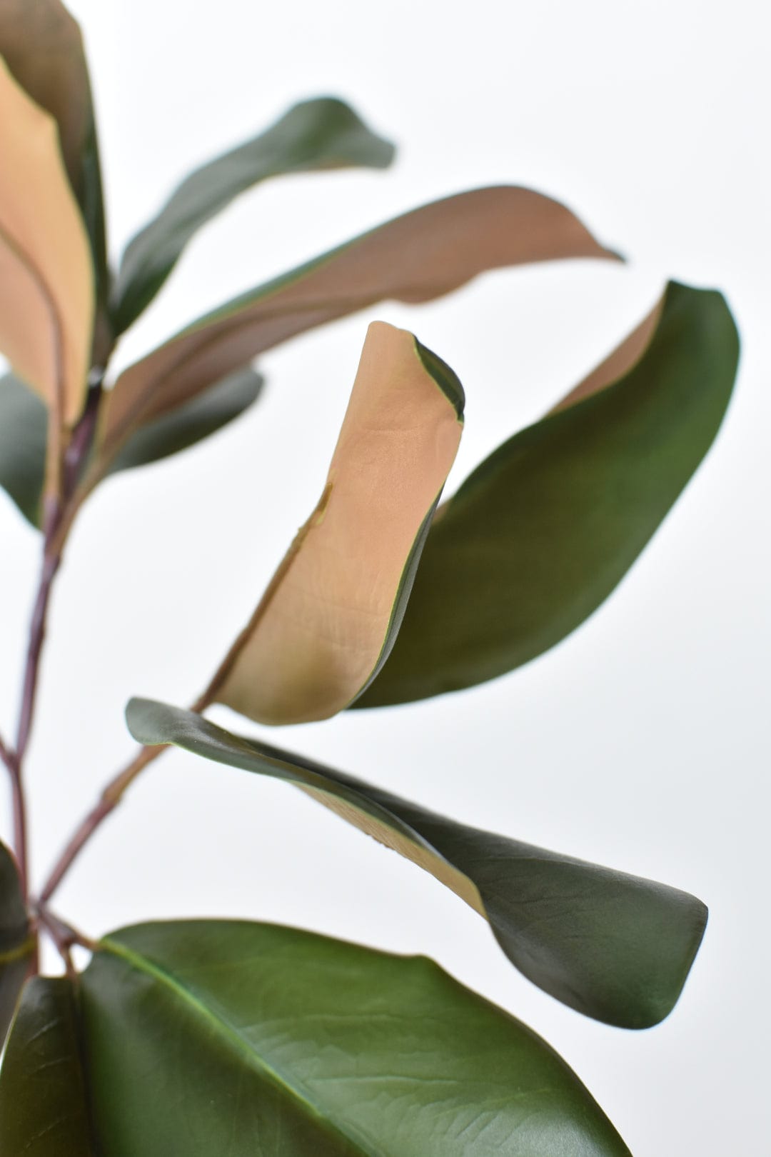 Stelo di foglie di magnolia artificiali da 16,5"
