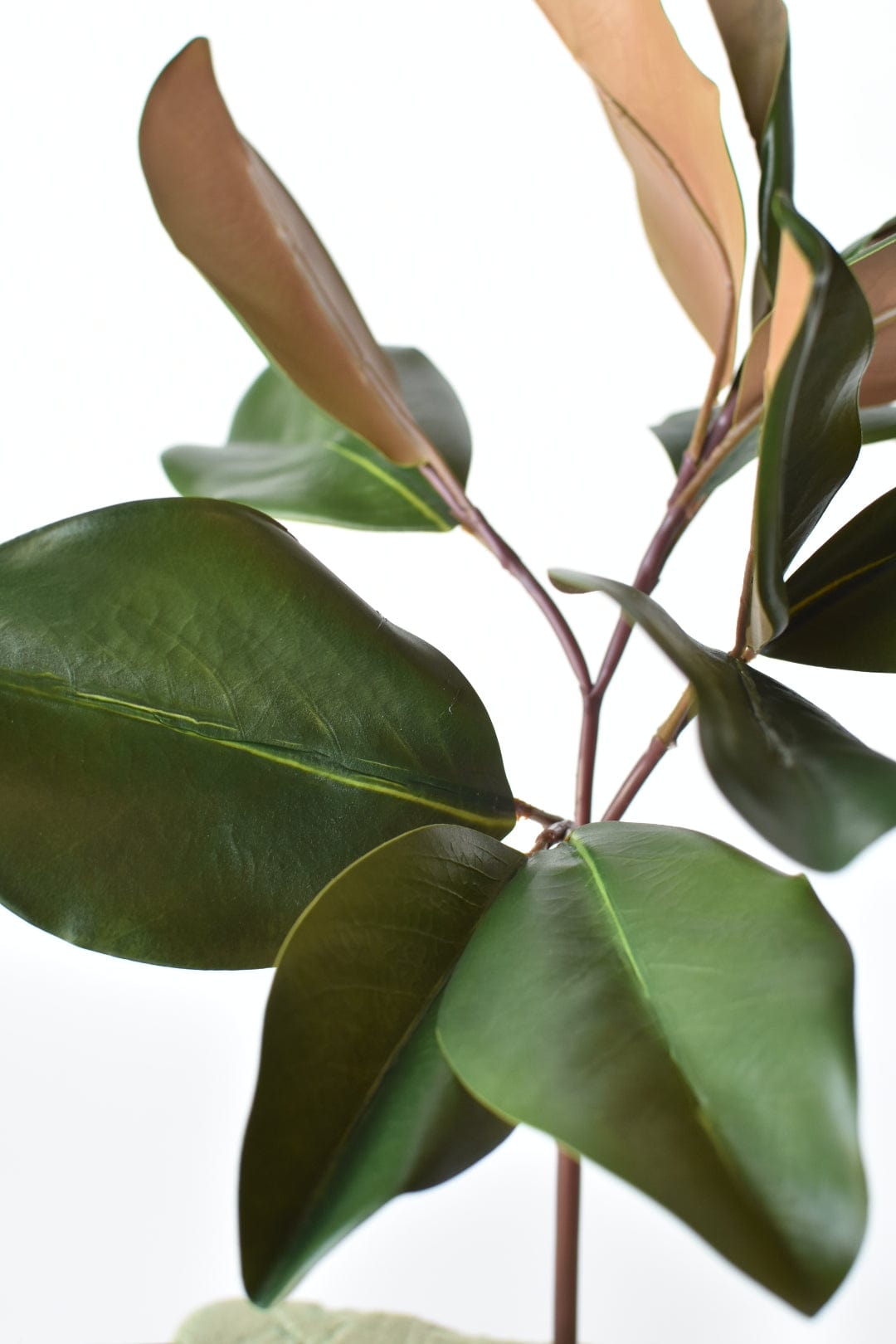 Stelo di foglie di magnolia artificiali da 16,5"