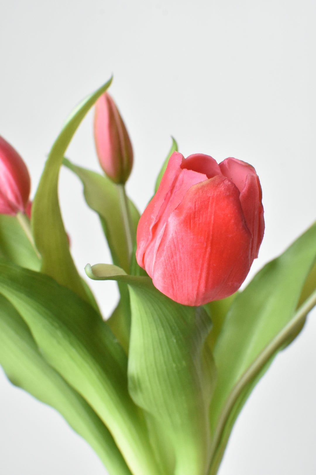 Mazzo di steli di tulipani rosa scuro "Faux Real Touch" da 11,75"