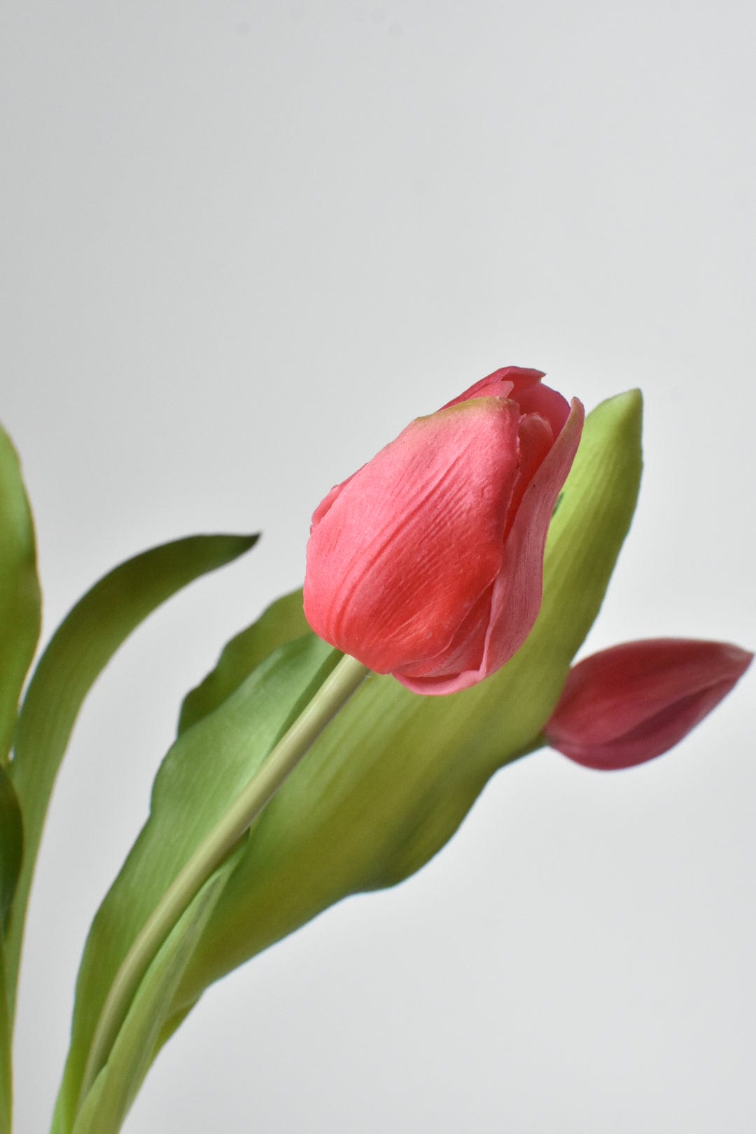 Mazzo di steli di tulipani rosa scuro "Faux Real Touch" da 11,75"