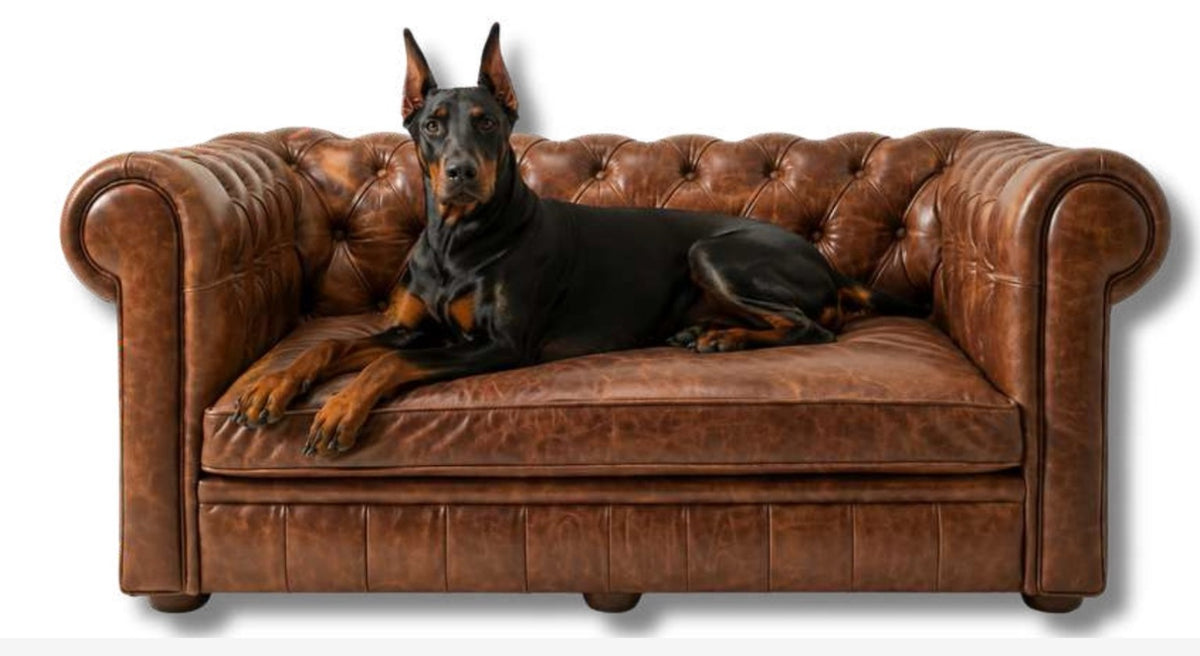 The Duke Chesterfield Dog Bed