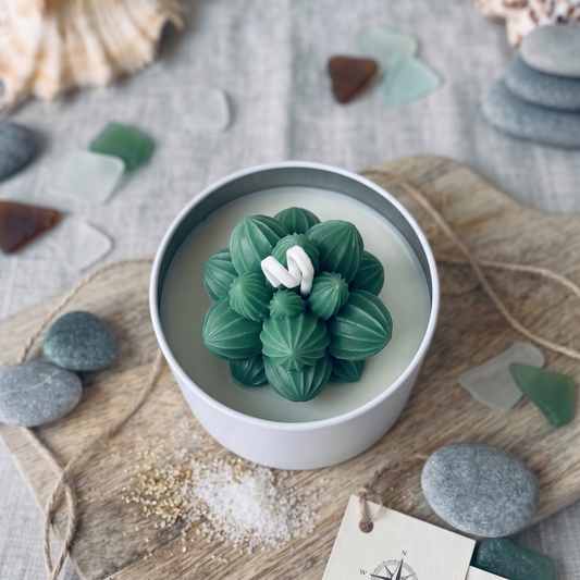 Candela succulenta foglia di smeraldo