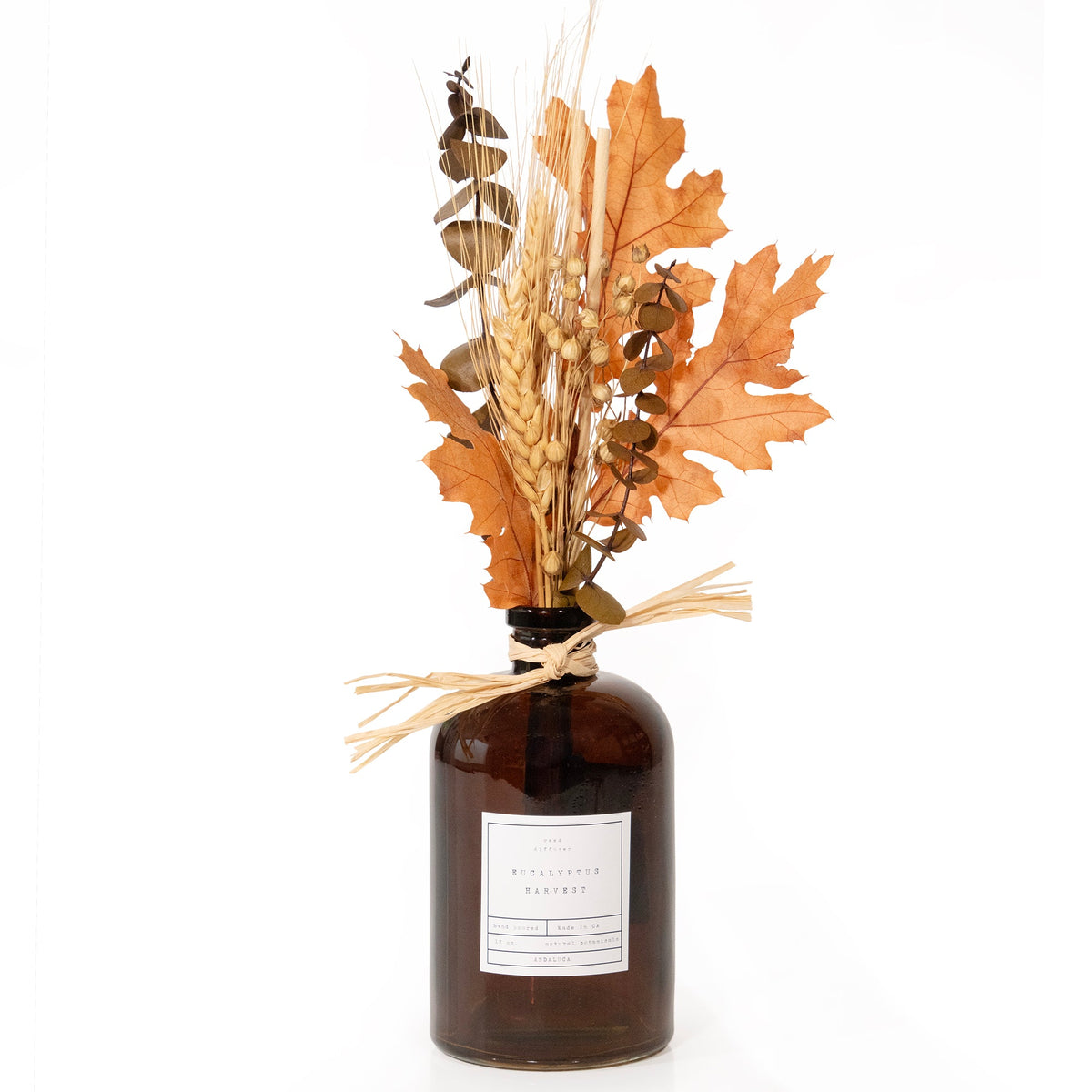 Diffuseur Eucalyptus & Botaniques : Récolte d'Eucalyptus