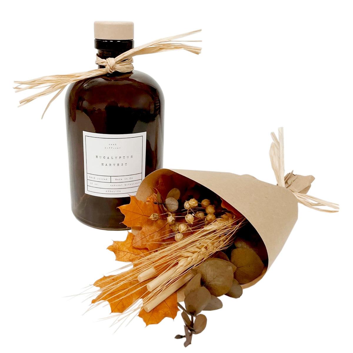 Diffuseur Eucalyptus & Botaniques : Récolte d'Eucalyptus