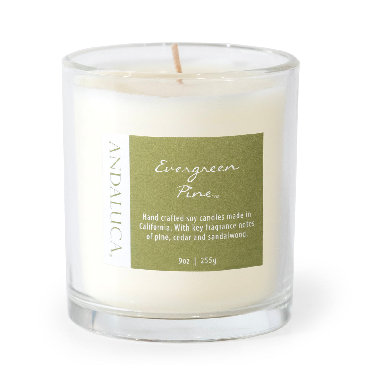 Candela Evergreen Pine da 9oz