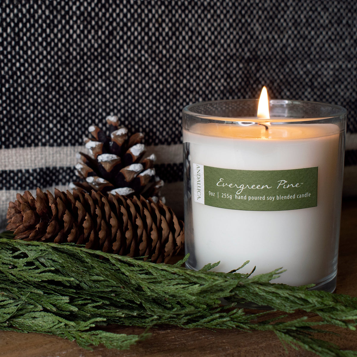 Candela Evergreen Pine da 9oz