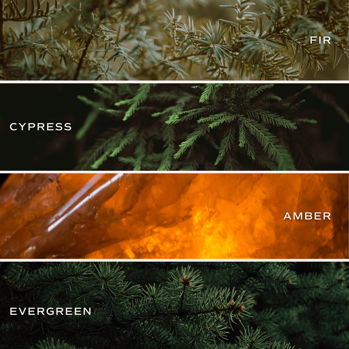Candela alla soia Snow Covered Pines - Vaso opaco color oliva - 15 once