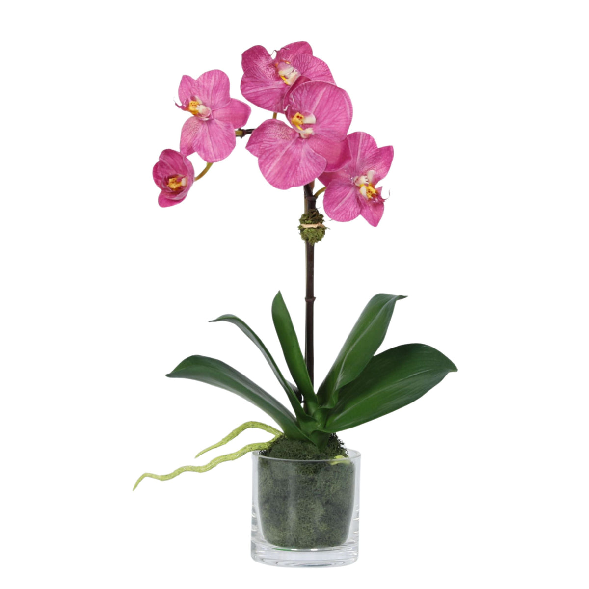 Orchidea finta in vaso di vetro