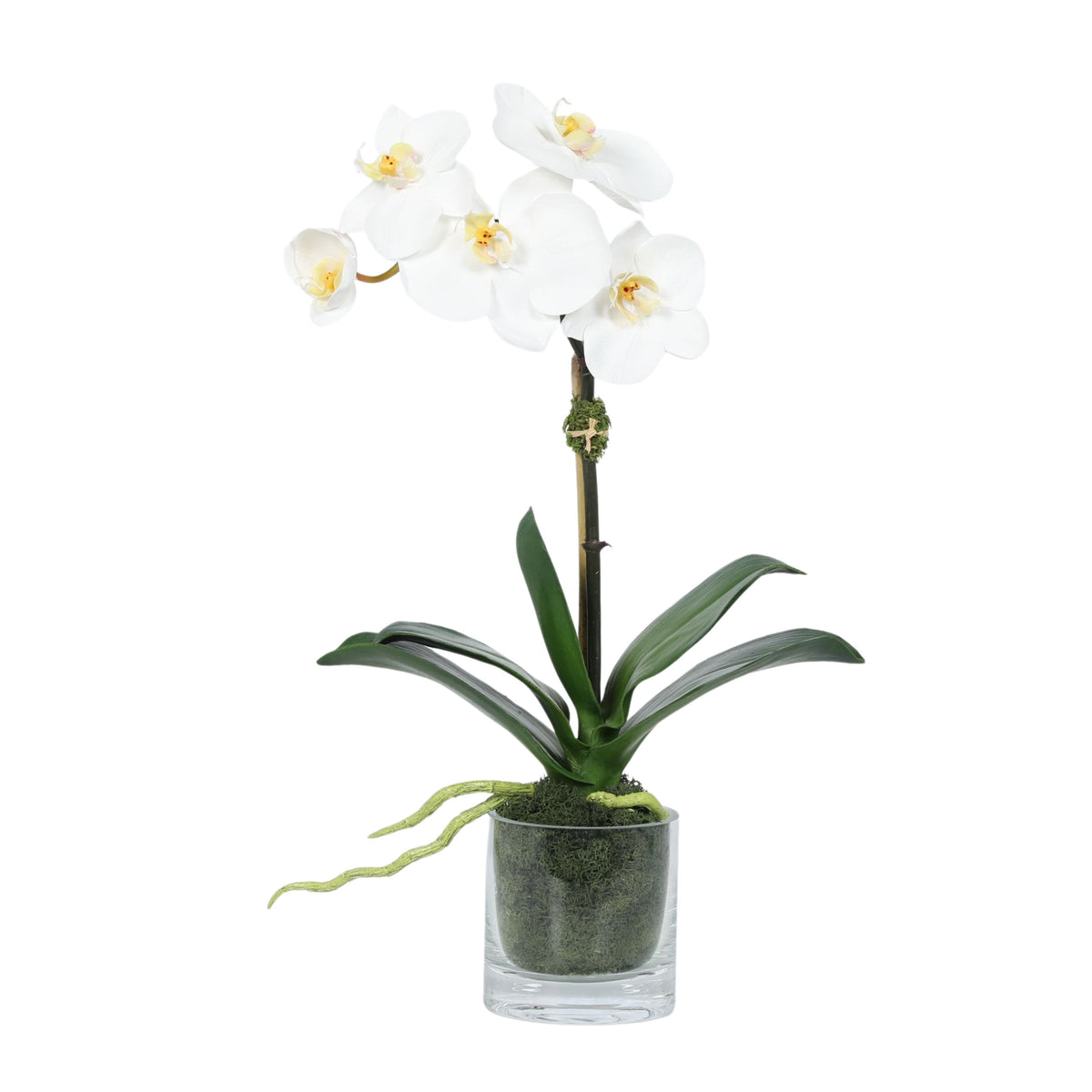 Orchidea finta in vaso di vetro