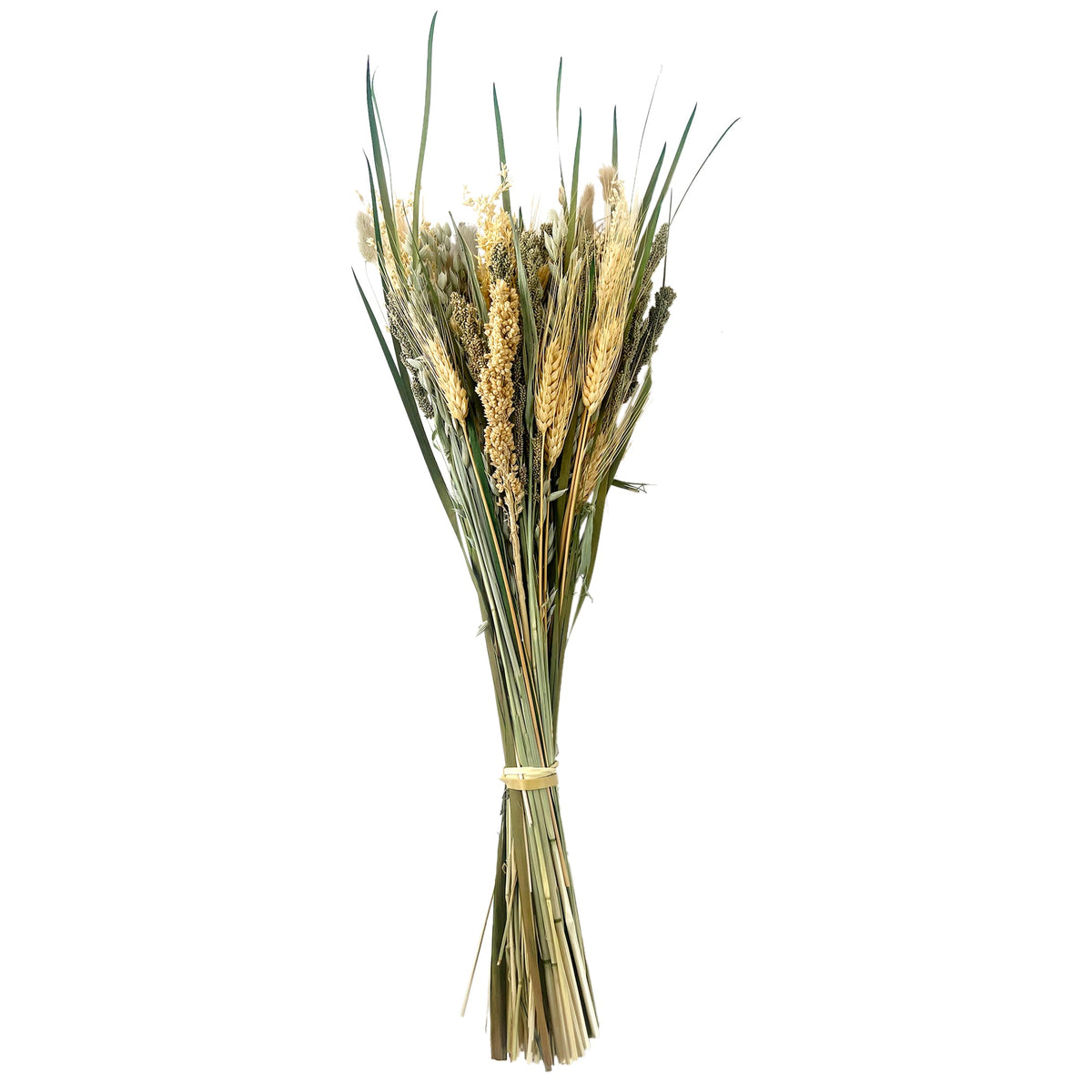 Bouquet di cereali verdi e naturali