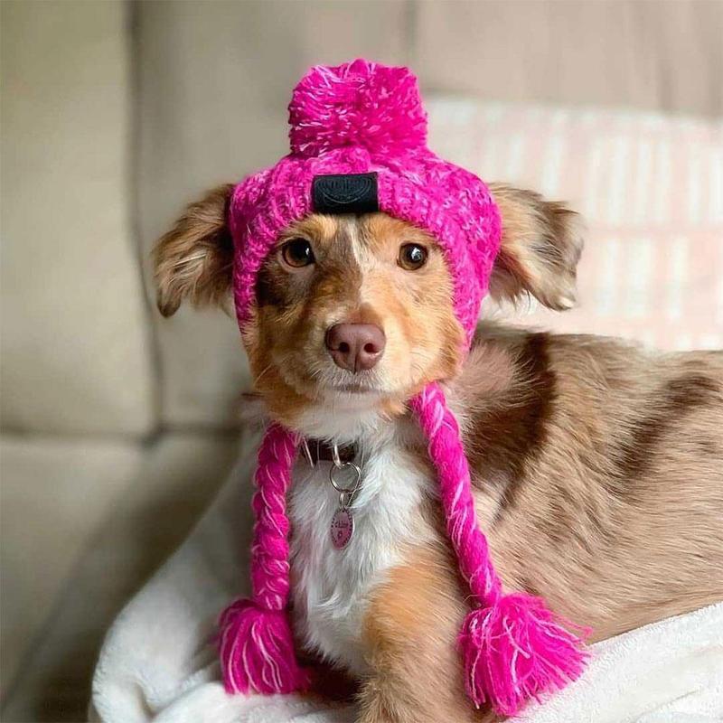 Bonnet en tricot chaud pour animal de compagnie automne-hiver avec pompon