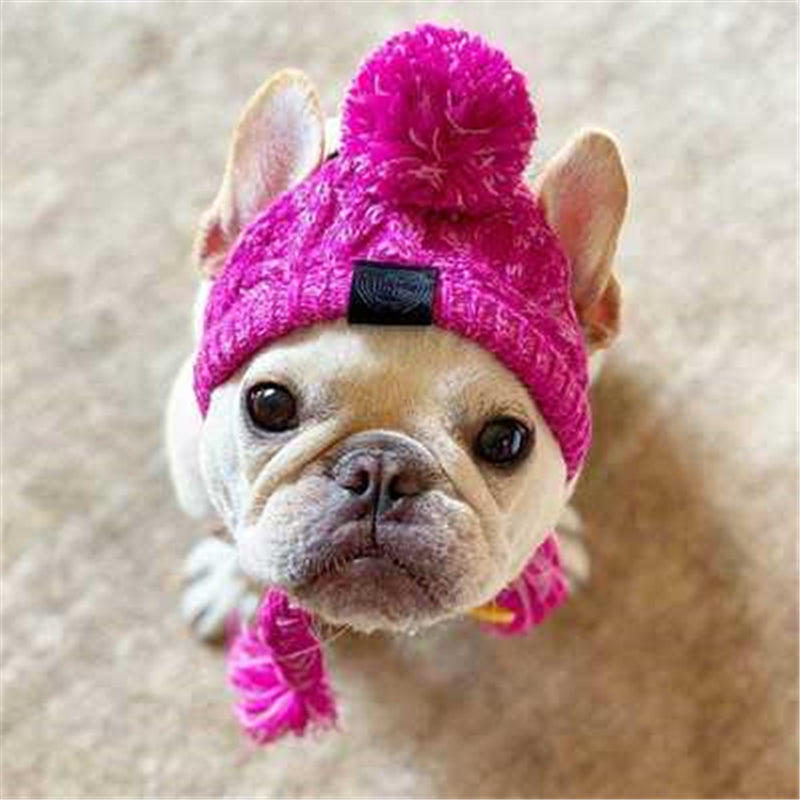 Bonnet en tricot chaud pour animal de compagnie automne-hiver avec pompon