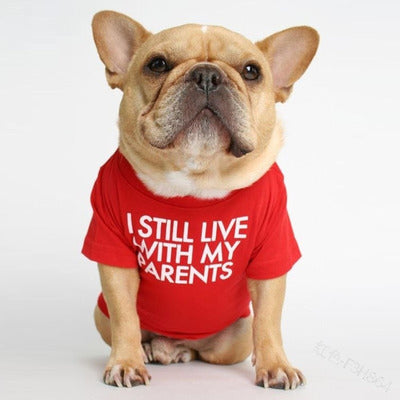 T-shirt "Vivo ancora con i miei"