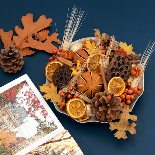 Barattolo di pot-pourri agrumato Harvest