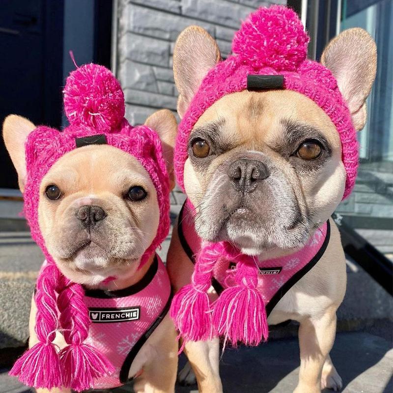 Bonnet en tricot chaud pour animal de compagnie automne-hiver avec pompon