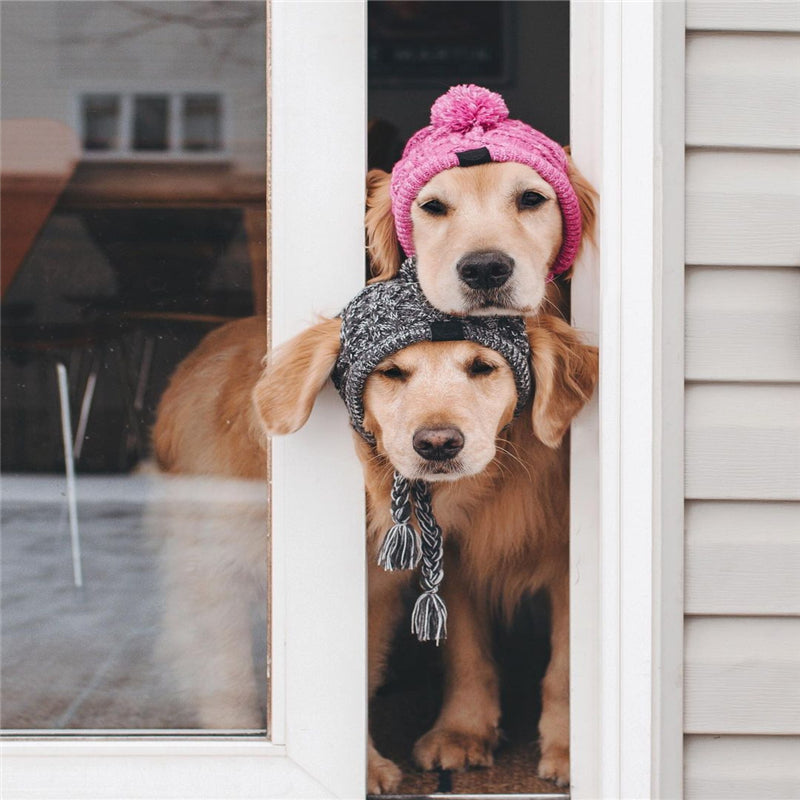 Bonnet en tricot chaud pour animal de compagnie automne-hiver avec pompon