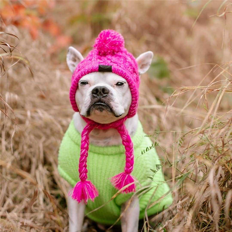 Bonnet en tricot chaud pour animal de compagnie automne-hiver avec pompon