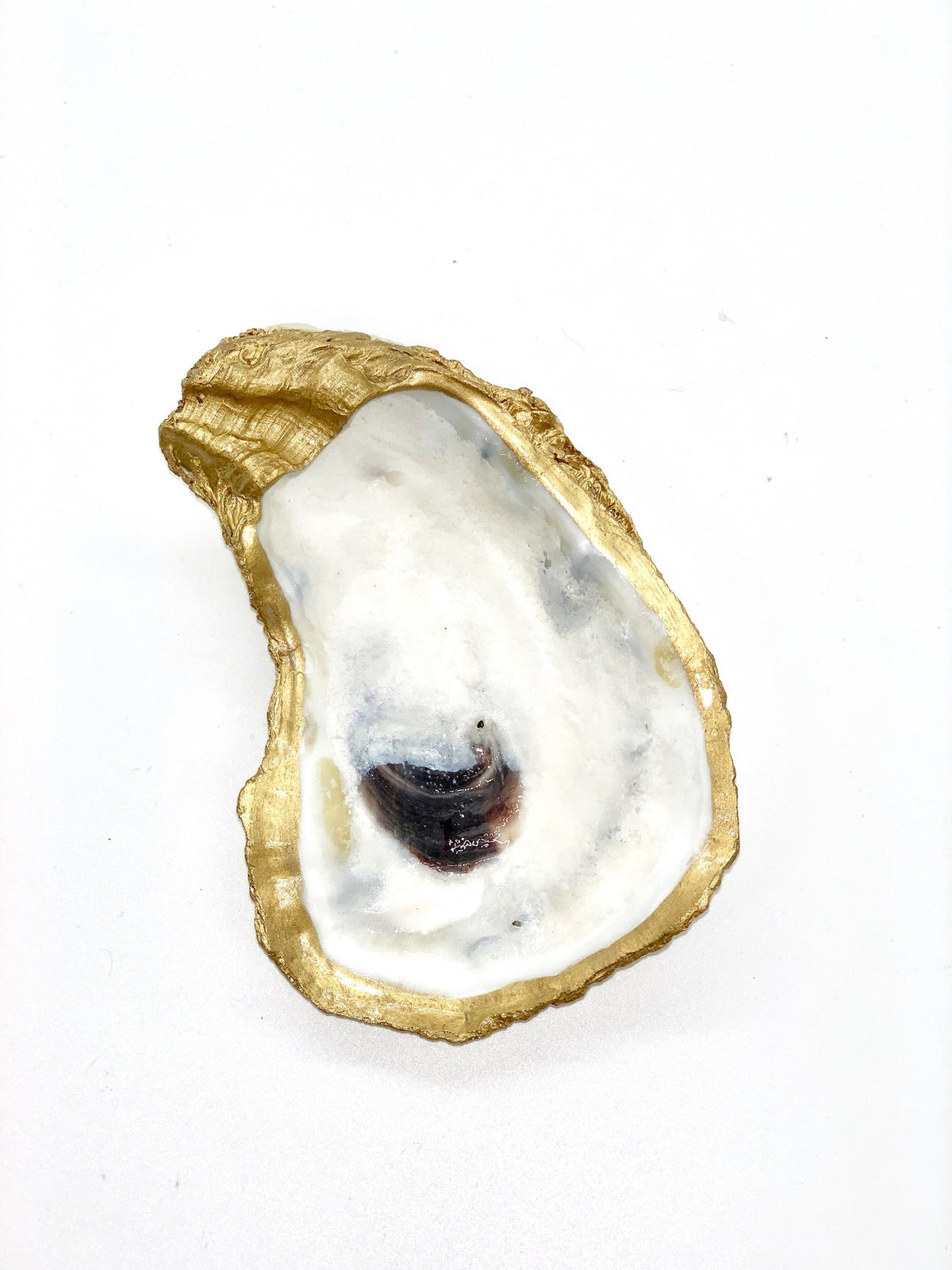 Coupelle en coquille d'huître
