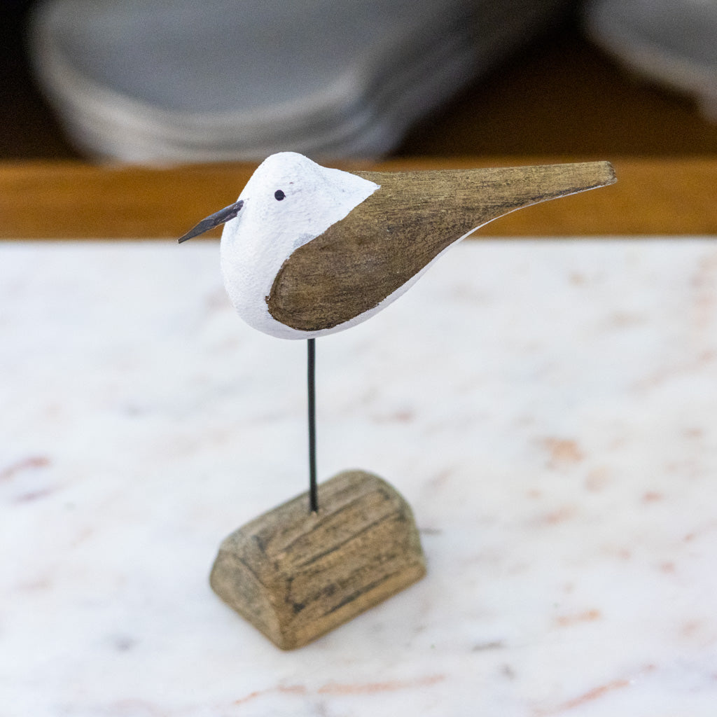 Tall Seagull on Driftwood