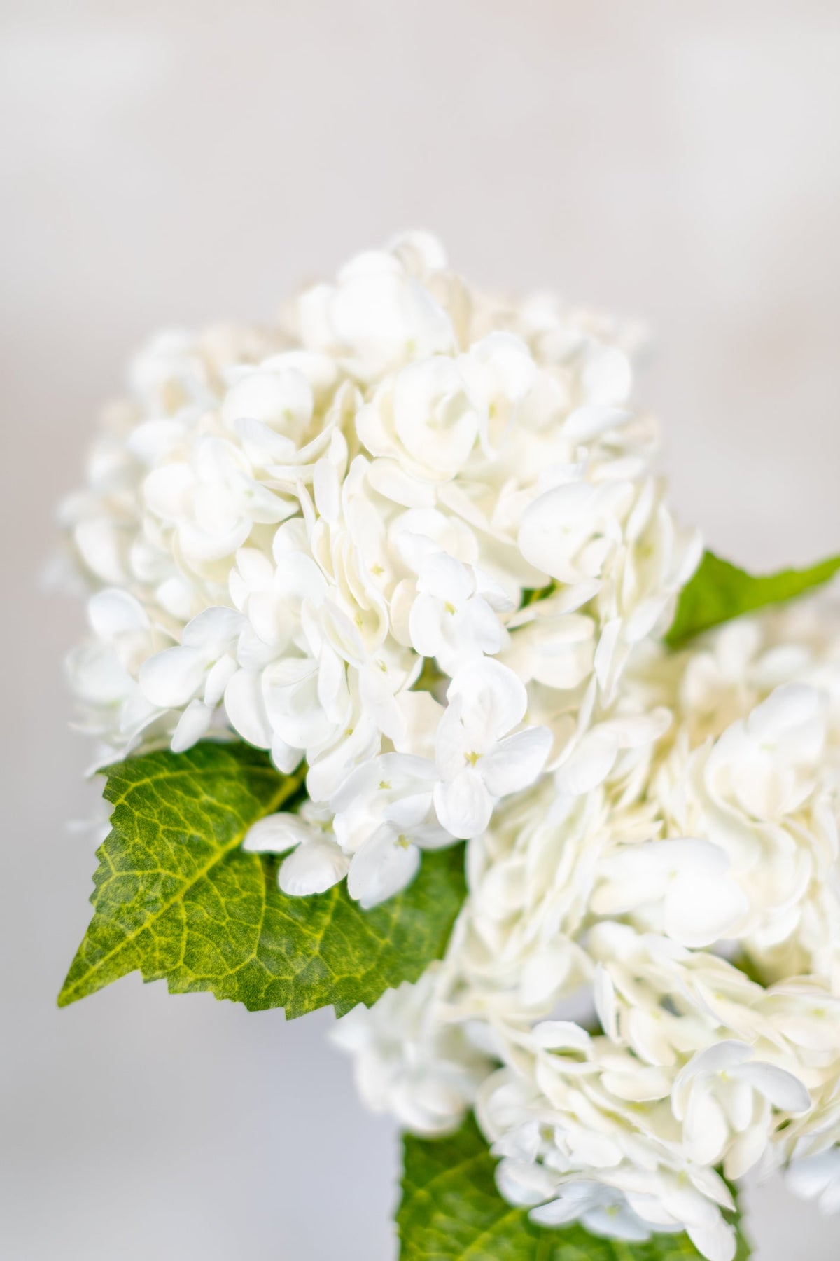 White Hydrangea Single Stem Real Touch