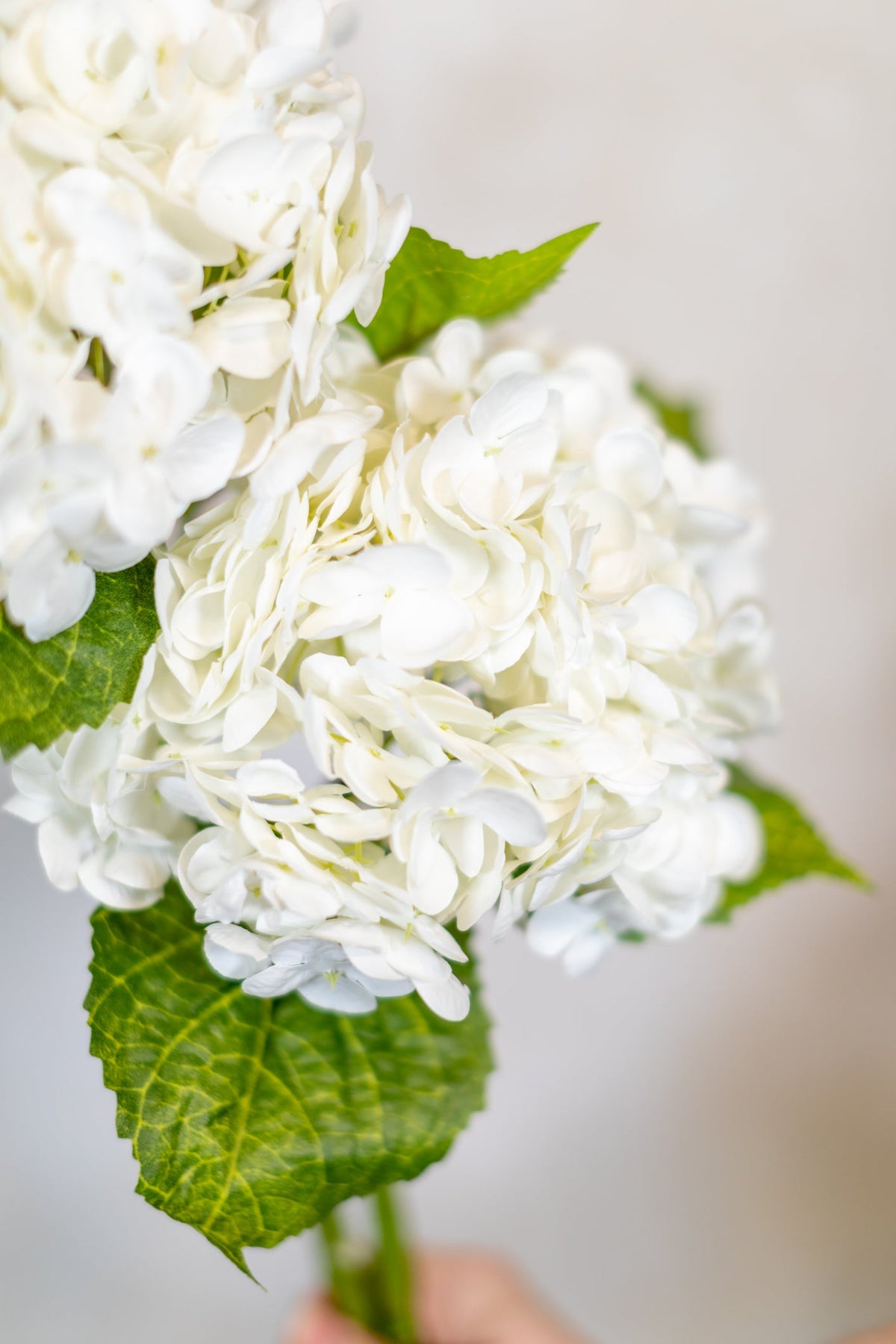 Hortensia blanc tige unique toucher réel