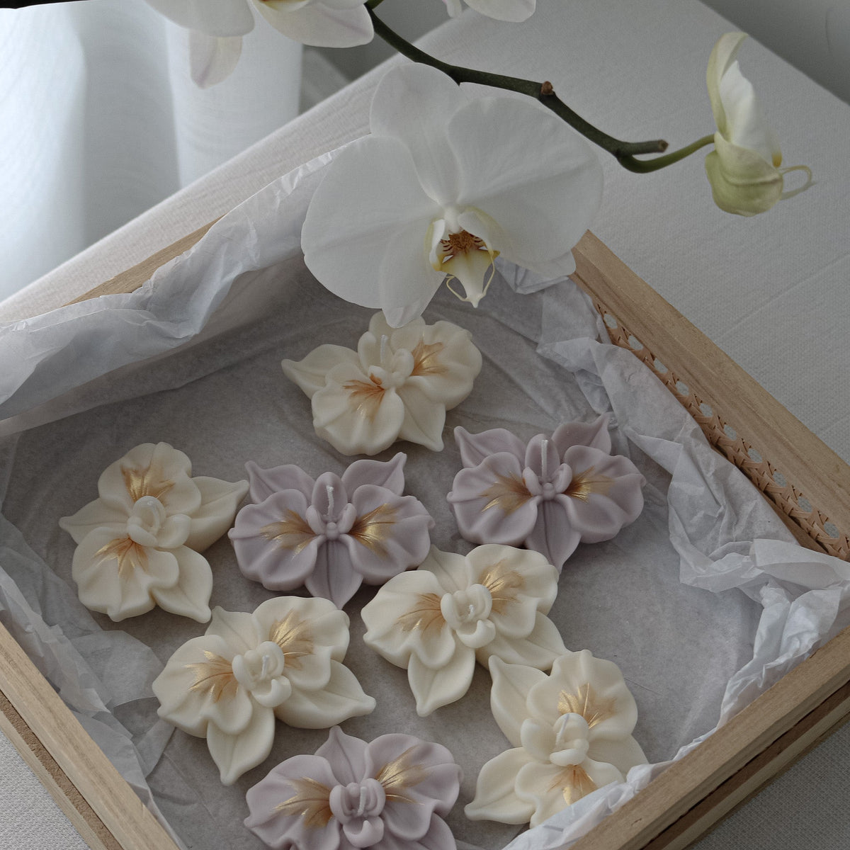 Mini-bougies en forme d'orchidée | Bougies florales pour cadeaux d'invités