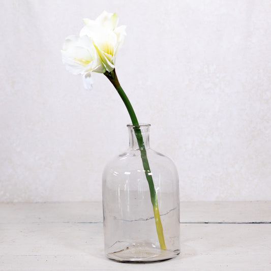 Amaryllis White Green Stem