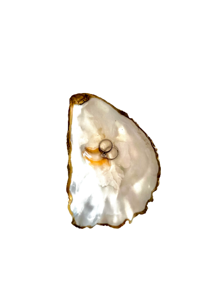 Coupelle en coquille d'huître