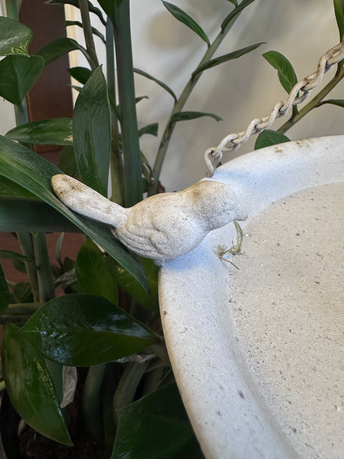 Distressed White Hanging Bird Feeder
