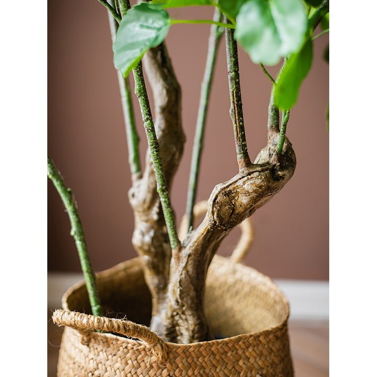Albero di banyan artificiale con foglie di melo in vaso, in seta