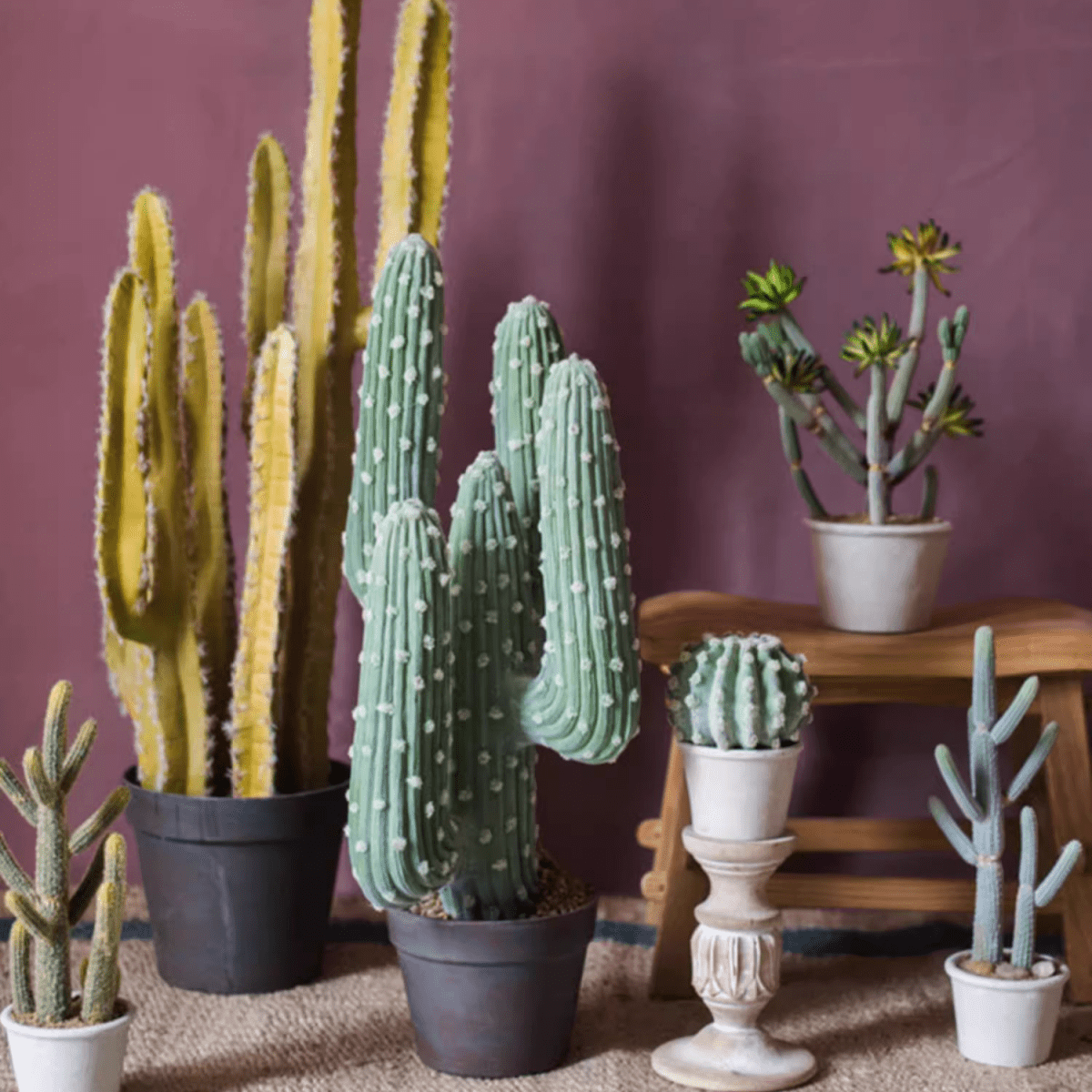 Cactus artificiel en pot, différents styles