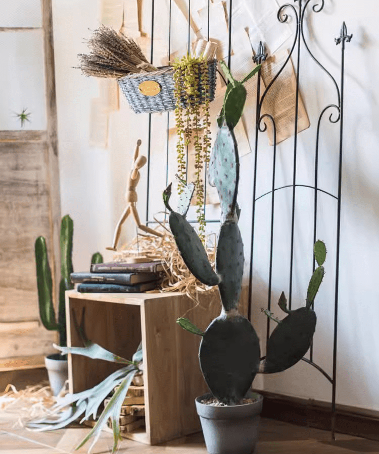 Cactus artificiel en pot, différents styles