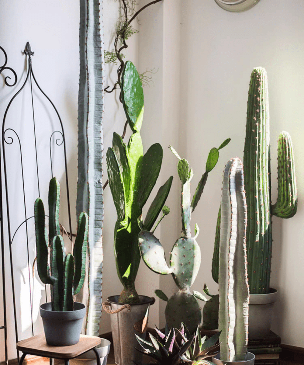 Cactus artificiel en pot, différents styles