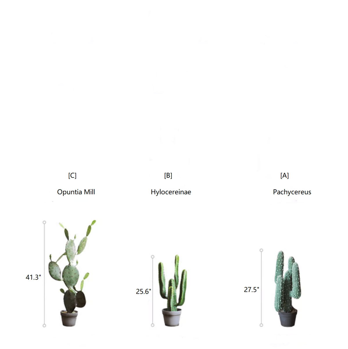 Cactus artificiel en pot, différents styles