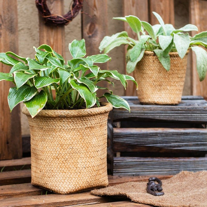 Jardinière en béton style panier