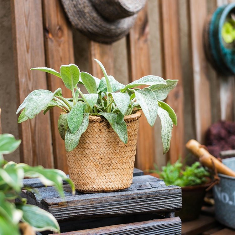 Jardinière en béton style panier