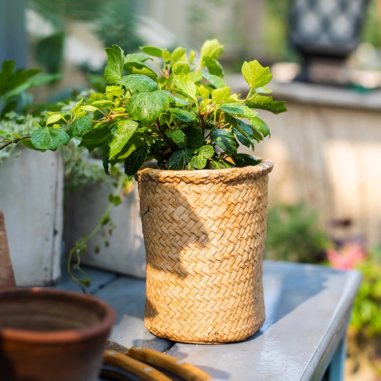 Jardinière en béton style panier