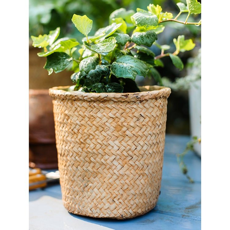 Jardinière en béton style panier