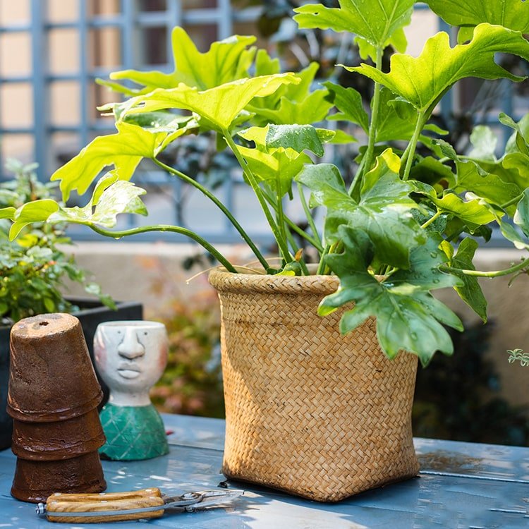 Jardinière en béton style panier
