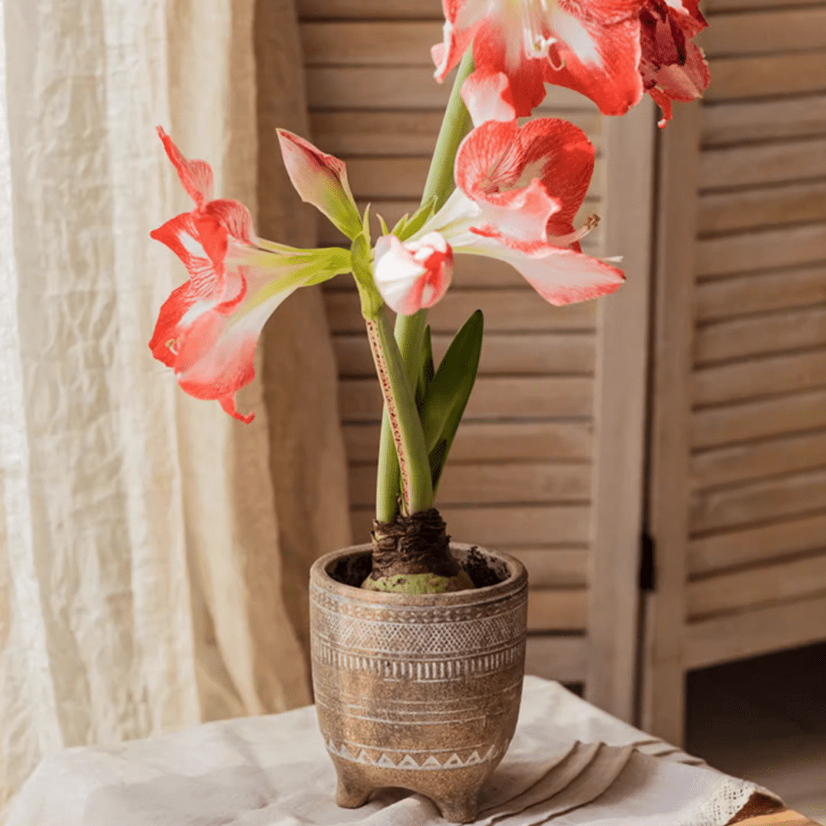 Jardinière en terre cuite rouge bohème