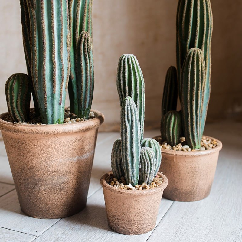Cactus artificiale in vaso marrone