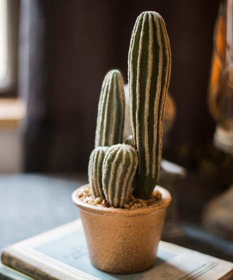 Cactus artificiale in vaso marrone